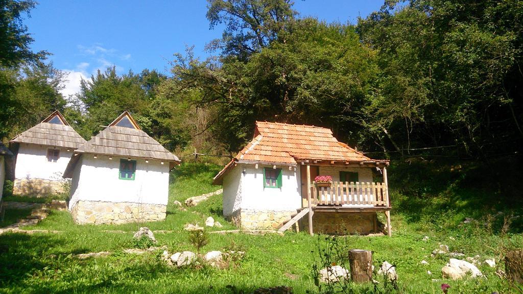 Hotel Camp Divlja Rijeka Hum Exteriér fotografie